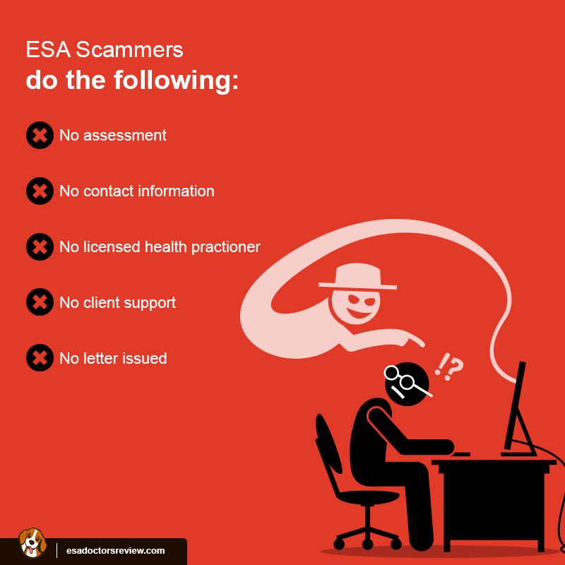 ESA Letter Scam Alert