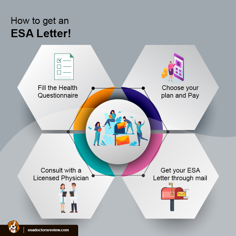 A 13 Step Guide To Quickly Get Approval For An ESA Letter