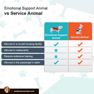 ESA vs Service Animals