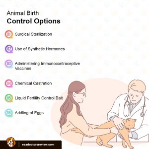 Birth Control Options