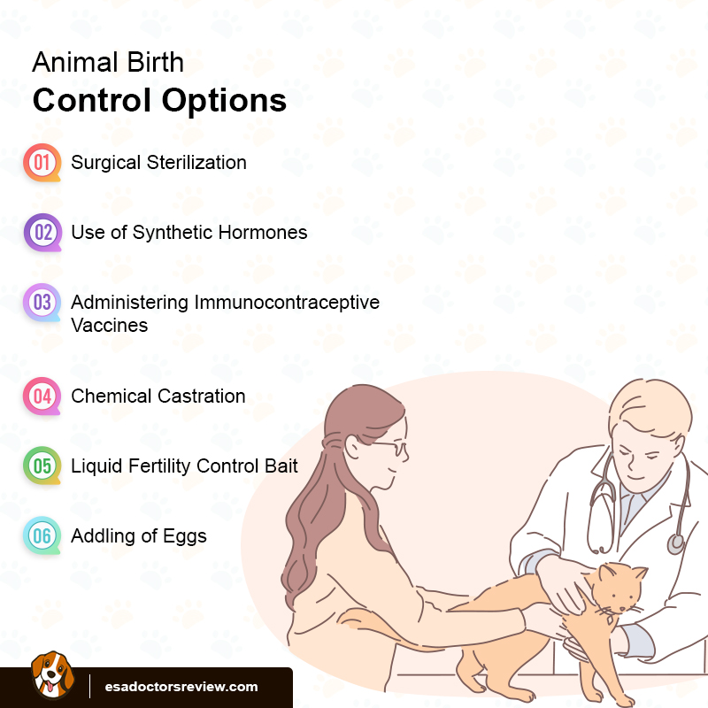 Methods of Animal Birth Control for Emotional Support Animals
