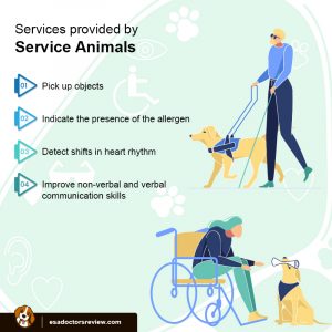 Service Animals