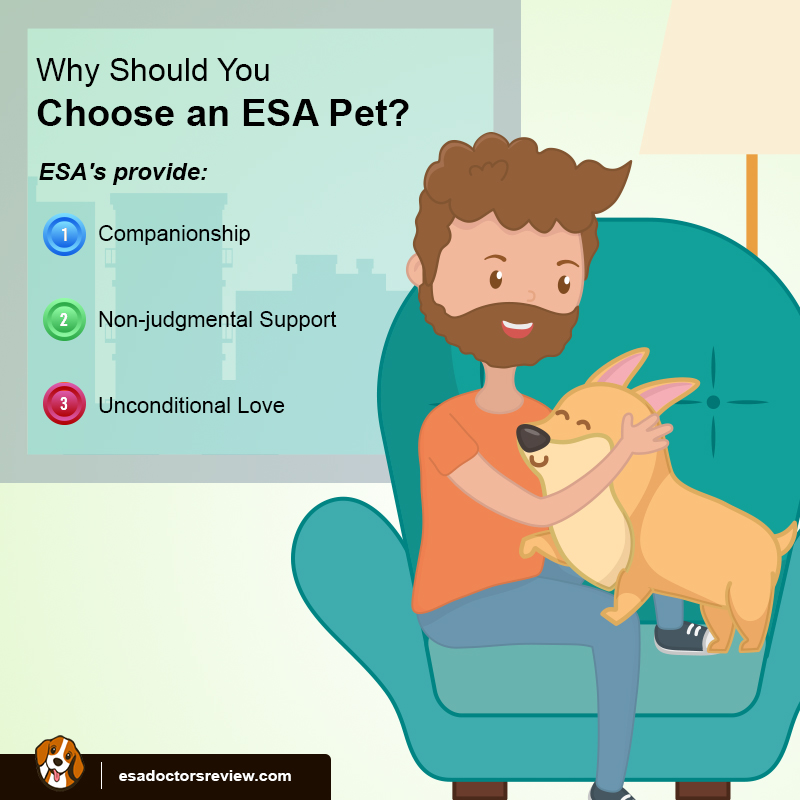 An Ultimate Guide on Emotional Support Animals Federal Laws