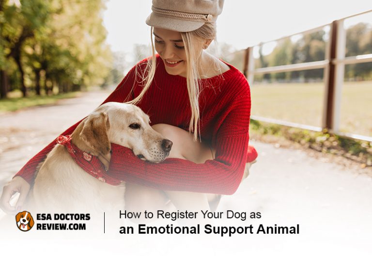 How to Register Your Dog as an ESA? A Stepbystep Guide