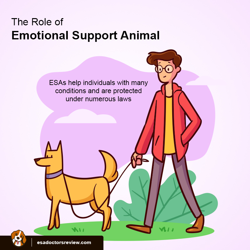 Emotional Support Animal