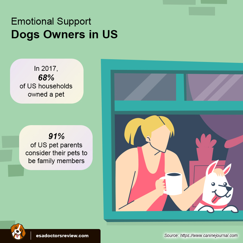 Emotional Support Dogs