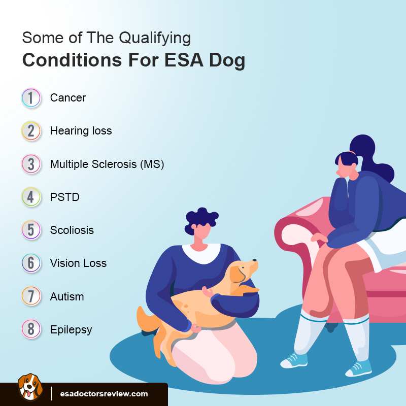 ESA Dog