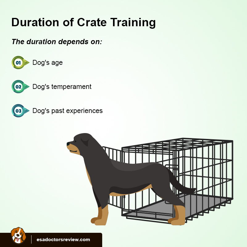  Crate training