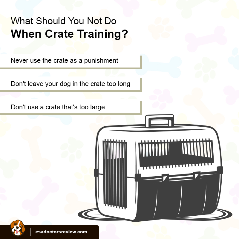 Crate training